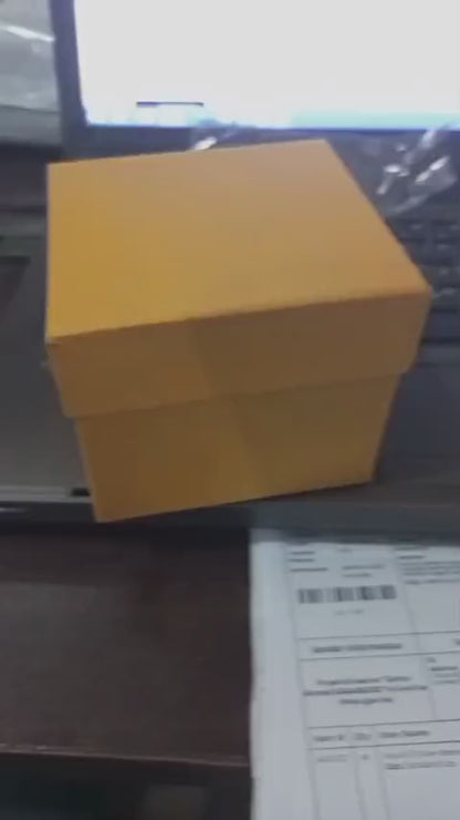 Iced Out women Watch